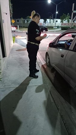 SEGURIDAD Y VIGILANCIA THANOS BLACK